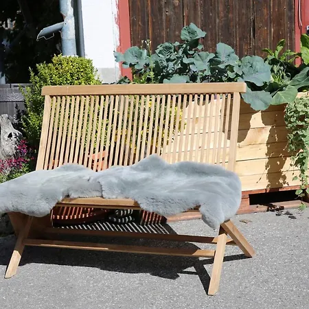 Geiger ザーファウス