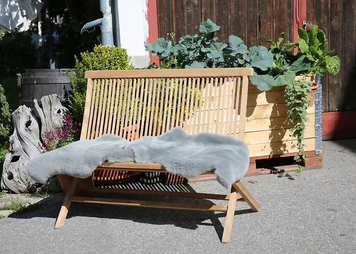 Geiger סרפהאוס